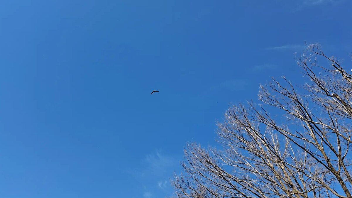    Фото: ИЗВЕСТИЯ/Дмитрий Астрахань