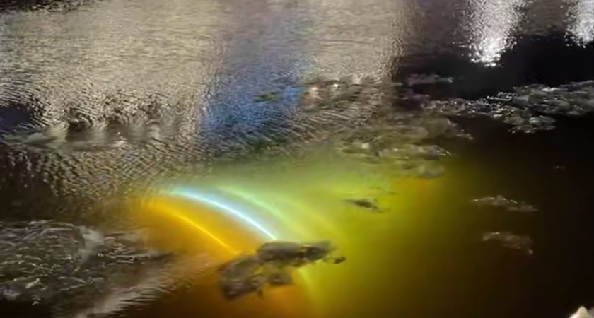    Новогодняя декорация упала в Мойку. Фото: соцсети