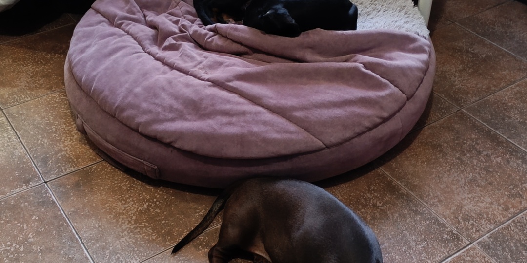 Готовность номер один!