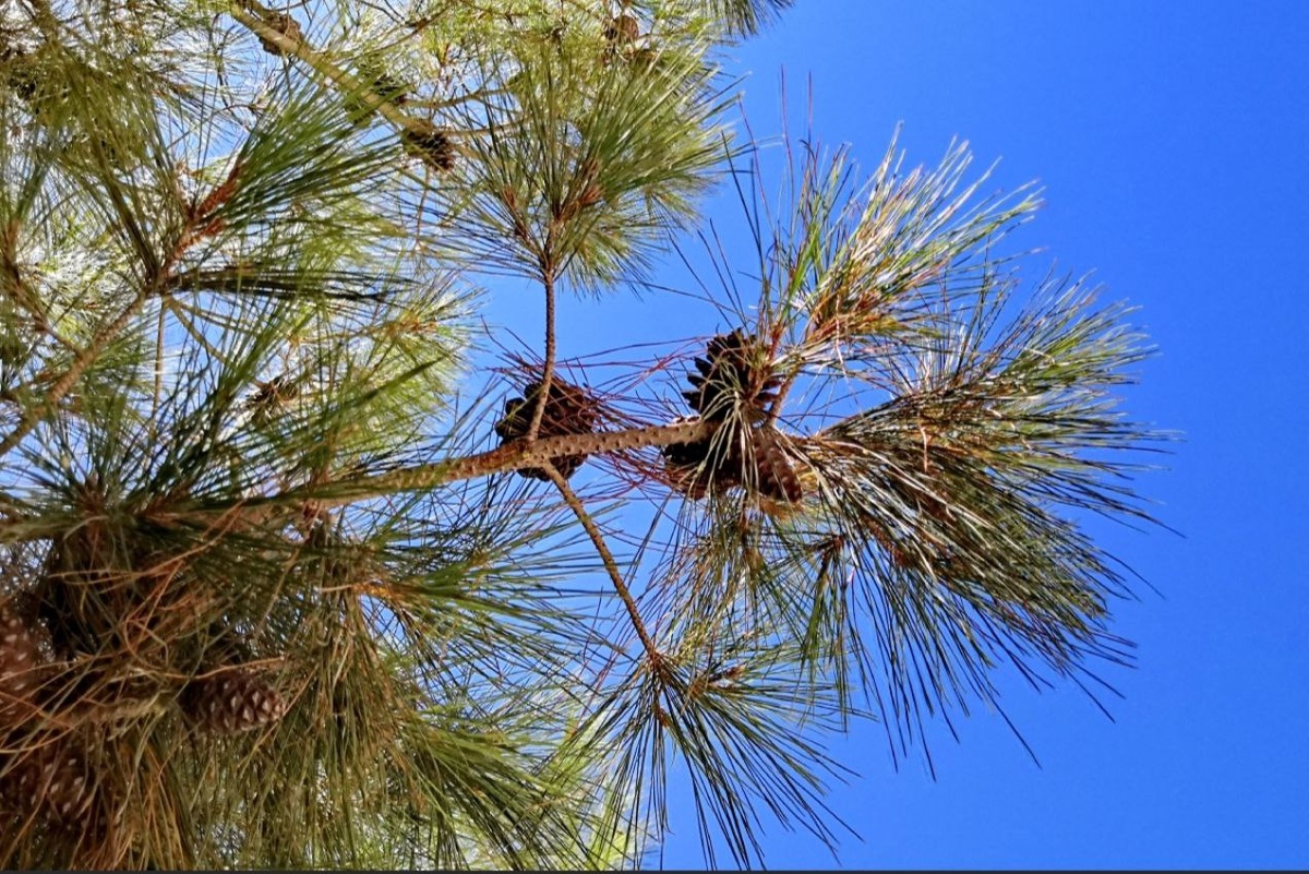 Иордания, Вади Дана