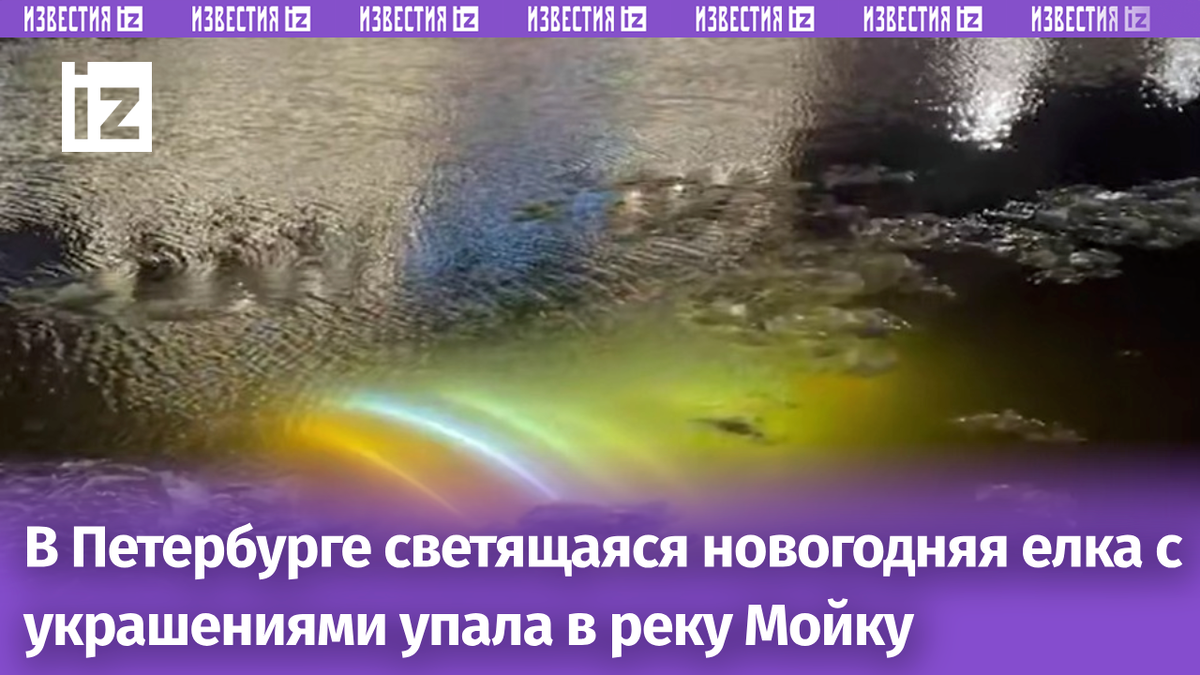 Новогодняя декорация упала в Мойку. Фото: соцсети