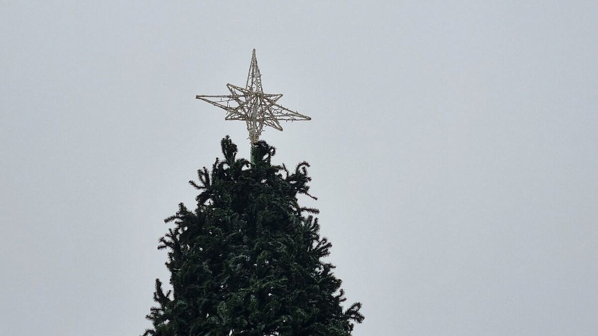    Фото: телеканал «Краснодар»