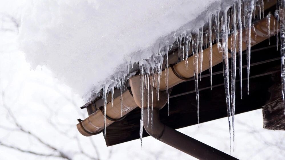    Фото: B.Panupong/Shutterstock/Fotodom