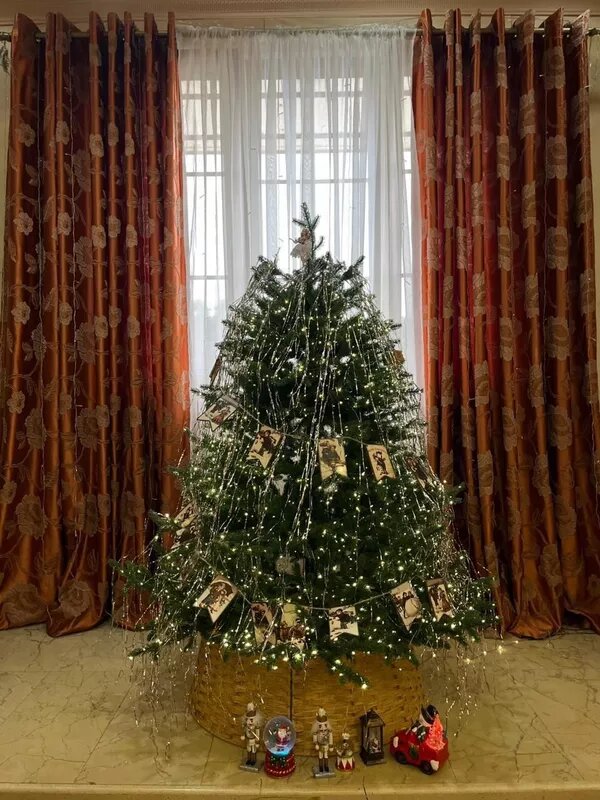 1/8 © Foto / Таращ Хагба