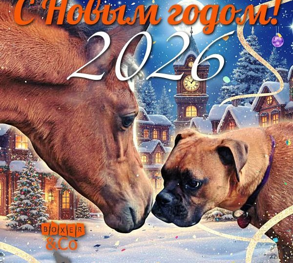 🌲🍊🍬 Запах ели, мандаринов, конфет