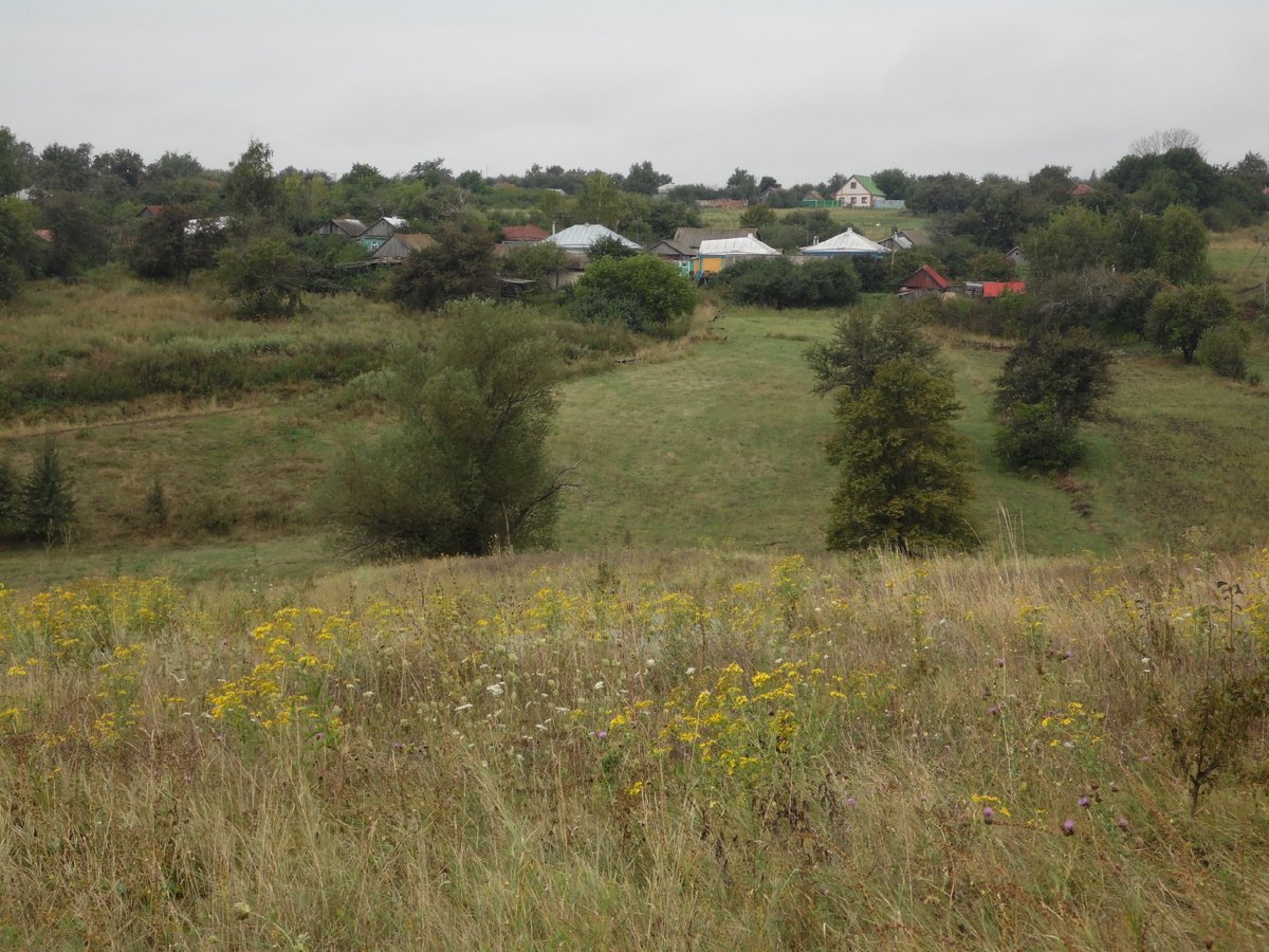 Вид на село с "бугров". Так называют холмы местные жители. Фото из архива 2016 года.