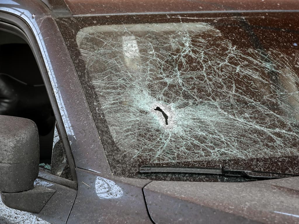     Фото: Павел Колядин (архив)