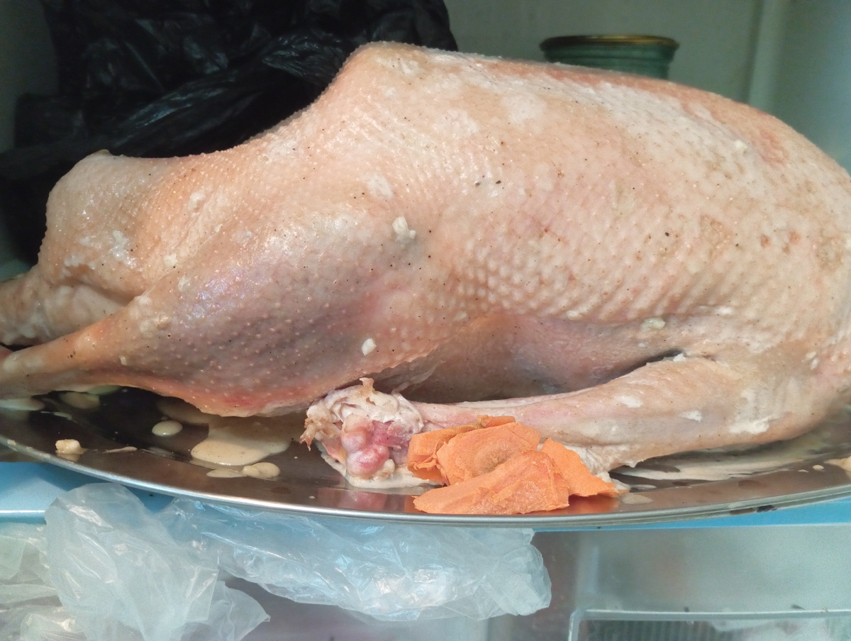Гусь пока в холодильнике. 