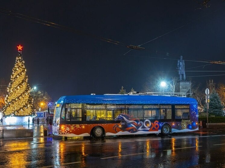     Фото:Михаил Развожаев/Telegram