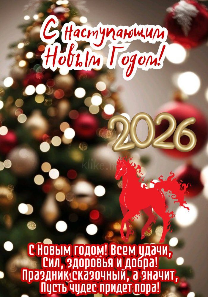 Фото из свободного доступа интернета