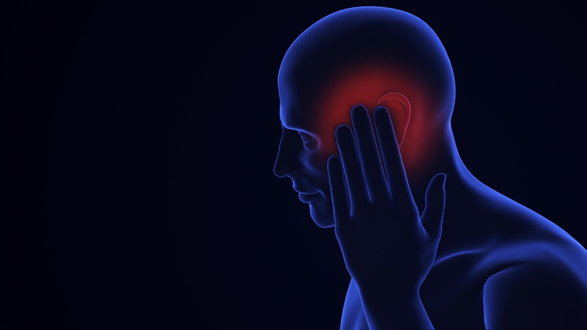    фото: Cinefootage Visuals/Shutterstock/Fotodom.ru