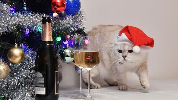    © РИА Новости . Наталья Селиверстова