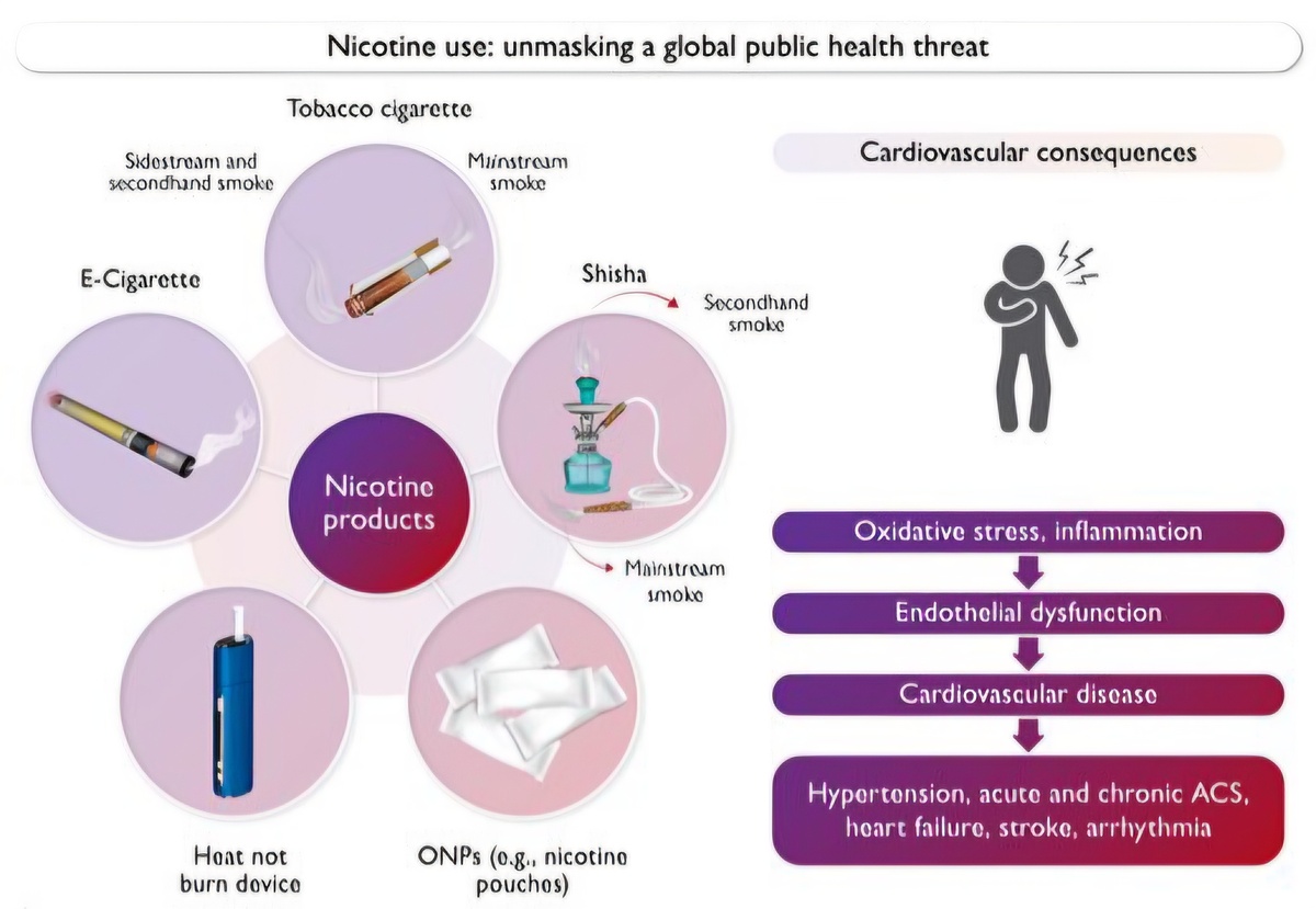 Иллюстрация Заявления Европейского общества кардиологов по никотину и никотинсодержащим продуктам