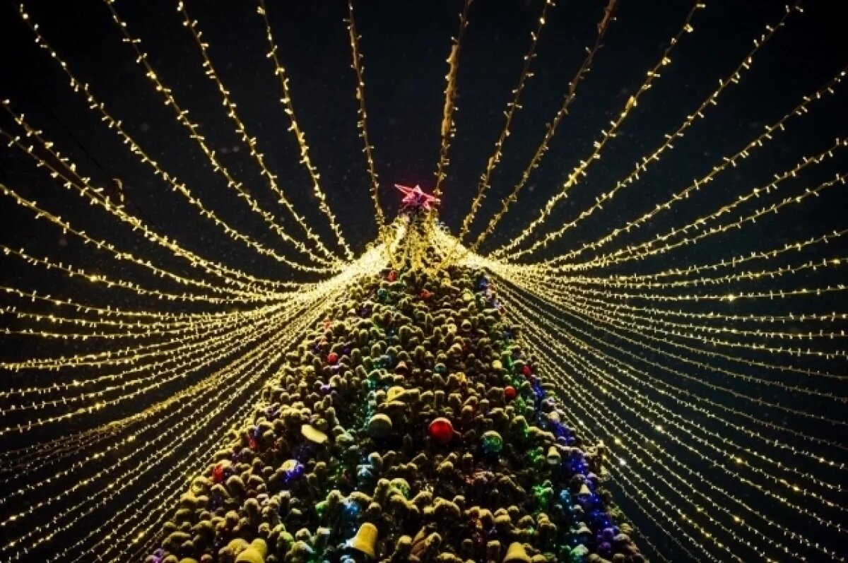    Власти поздравили жителей Карелии с Новым годом