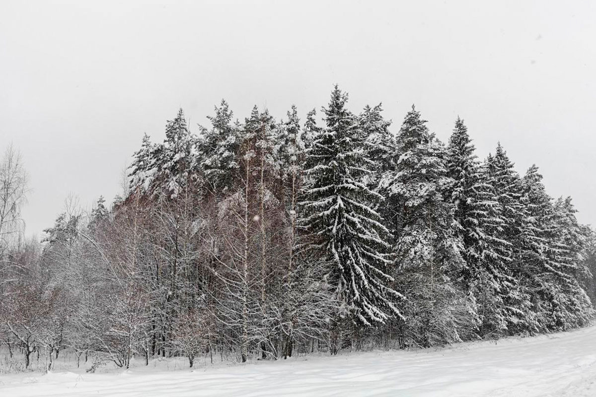    Изображение носит иллюстративный характер. Фото: Tochka.by