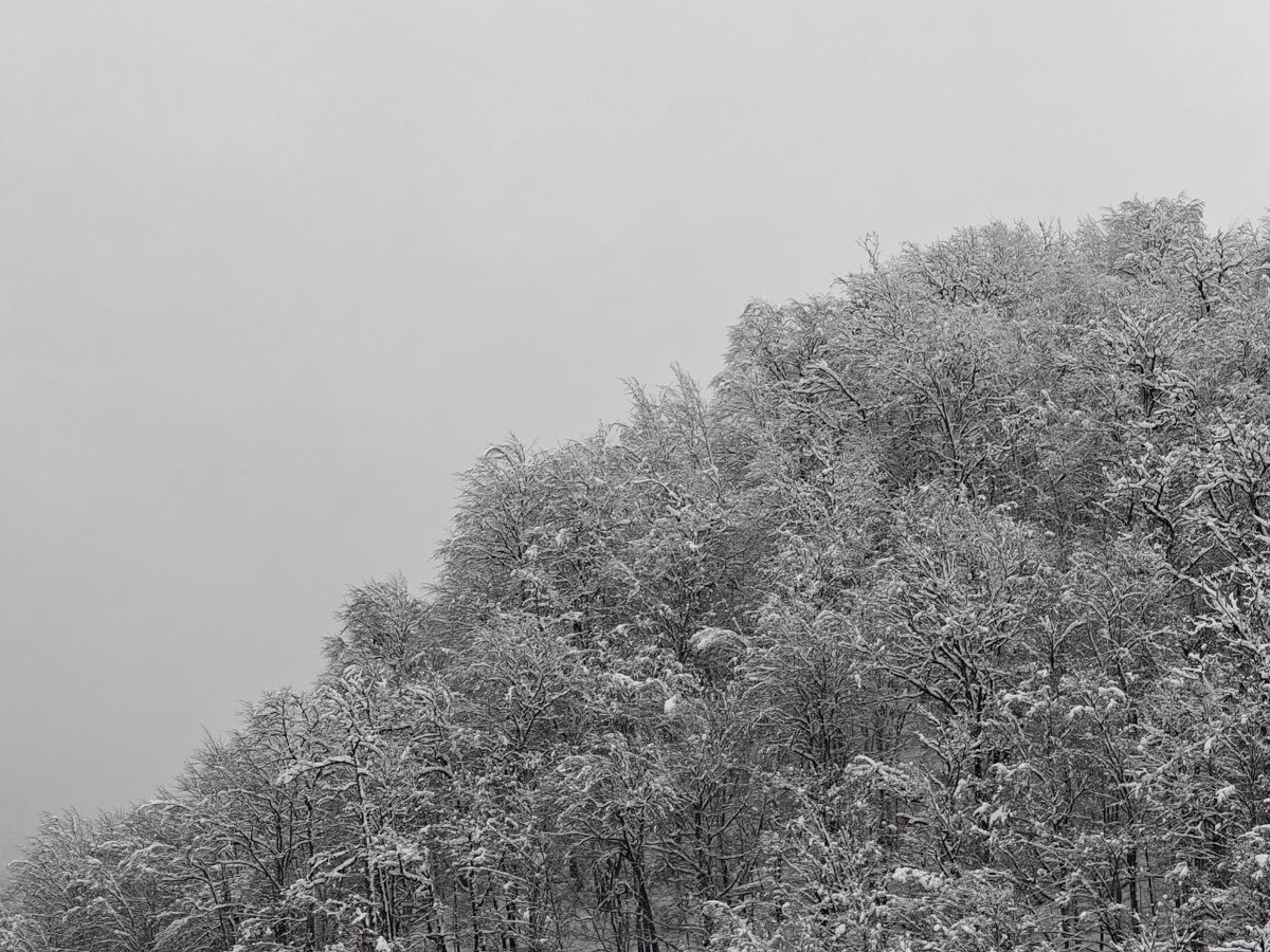    Фото: Юрий Серебренников/BFM Кубань