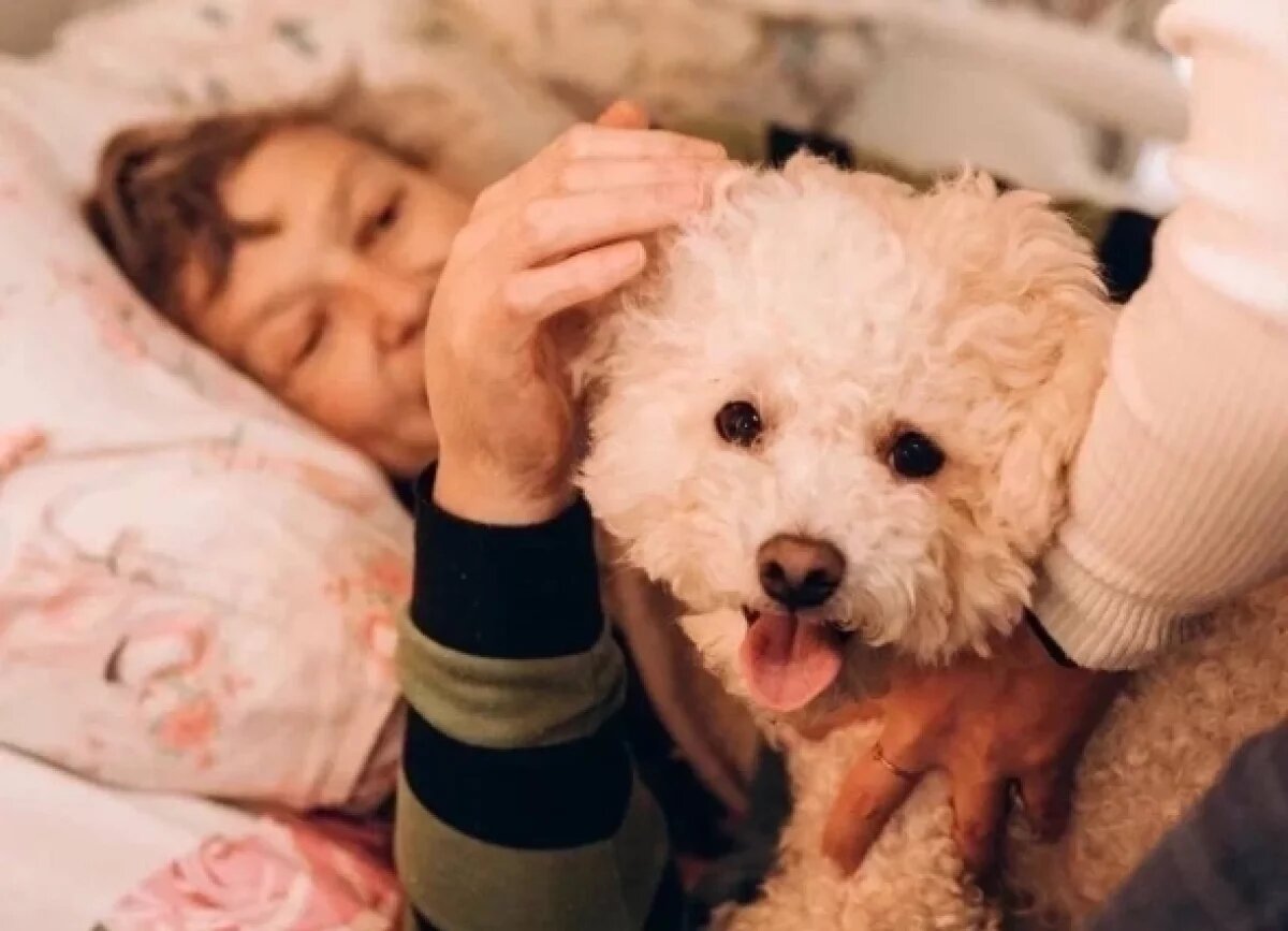    «Надежда и вера в добро».