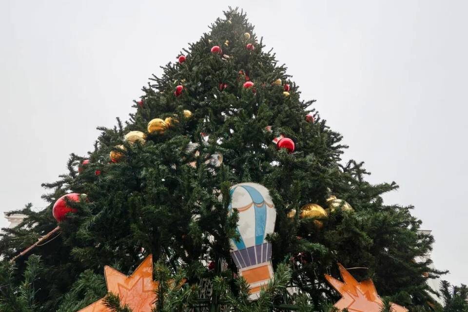    Фото: Дмитрий Рогулин / "Городские вести"