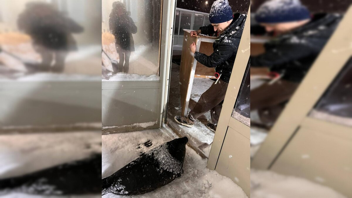    Фото: t.me/sealresque