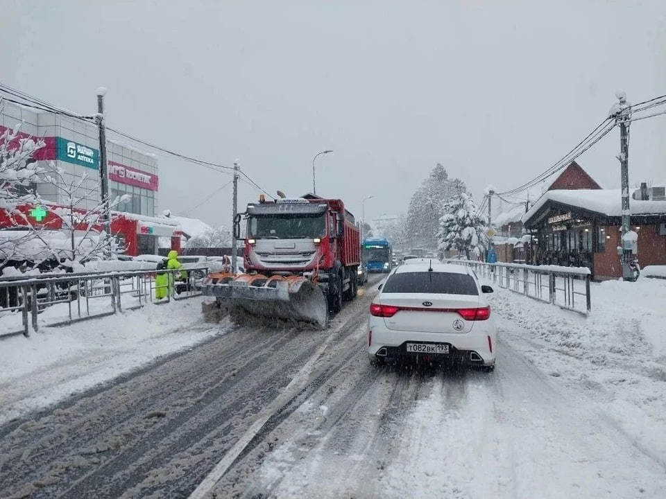    Фото: t.me/officialsochi