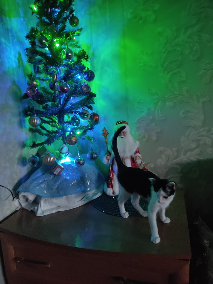 Мой Кузеныш и елочка