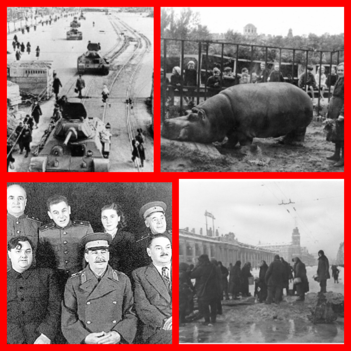 Танки выходят с Кировского завода, бегемот Красавица, пережившая блокаду, Маленков и Жданов рядом со Сталиным, люди набирают воду в Ленинграде в воронке от снаряда 