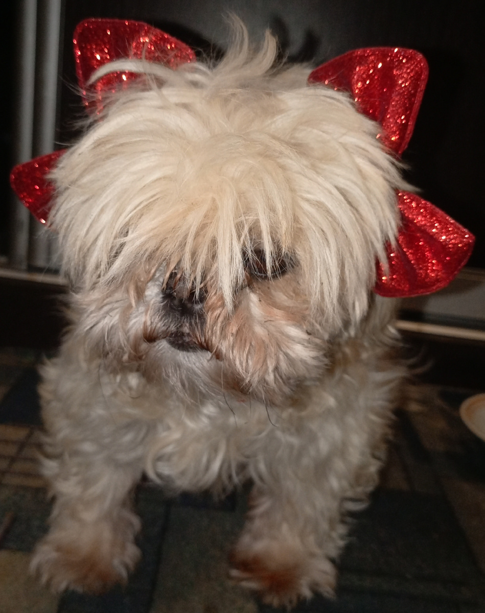 Фото из архива наших питомцев. Марго