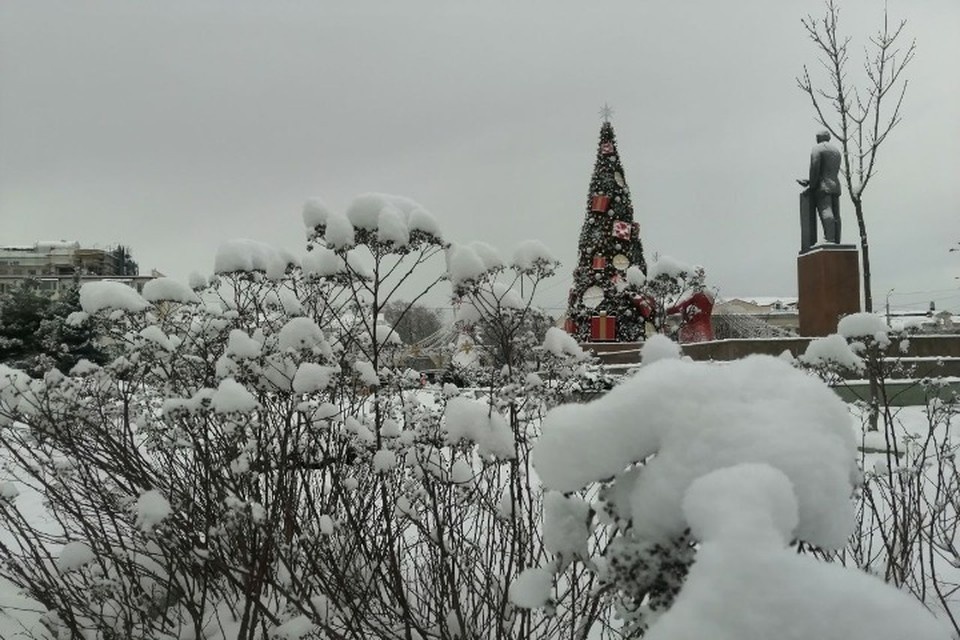    Симферополь 31 декабря 2025 Галина КОВАЛЕНКО