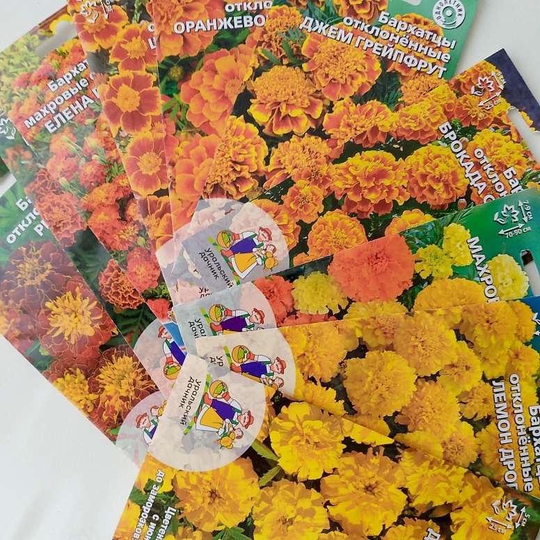 Красота, и всё моё