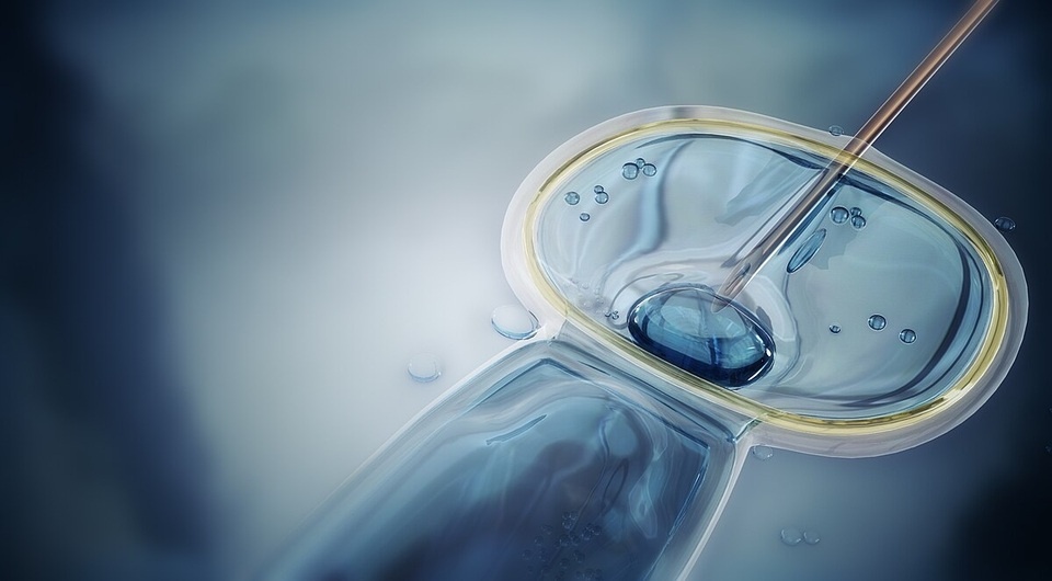   Manu5 / Wikimedia Commons / CC BY-SA 4.0