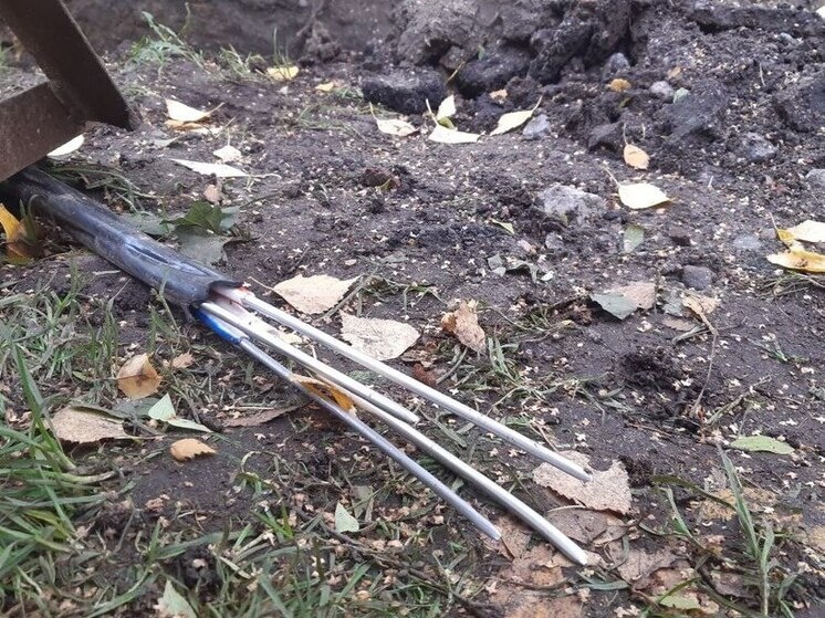     фото: архив мк в Мурманске.