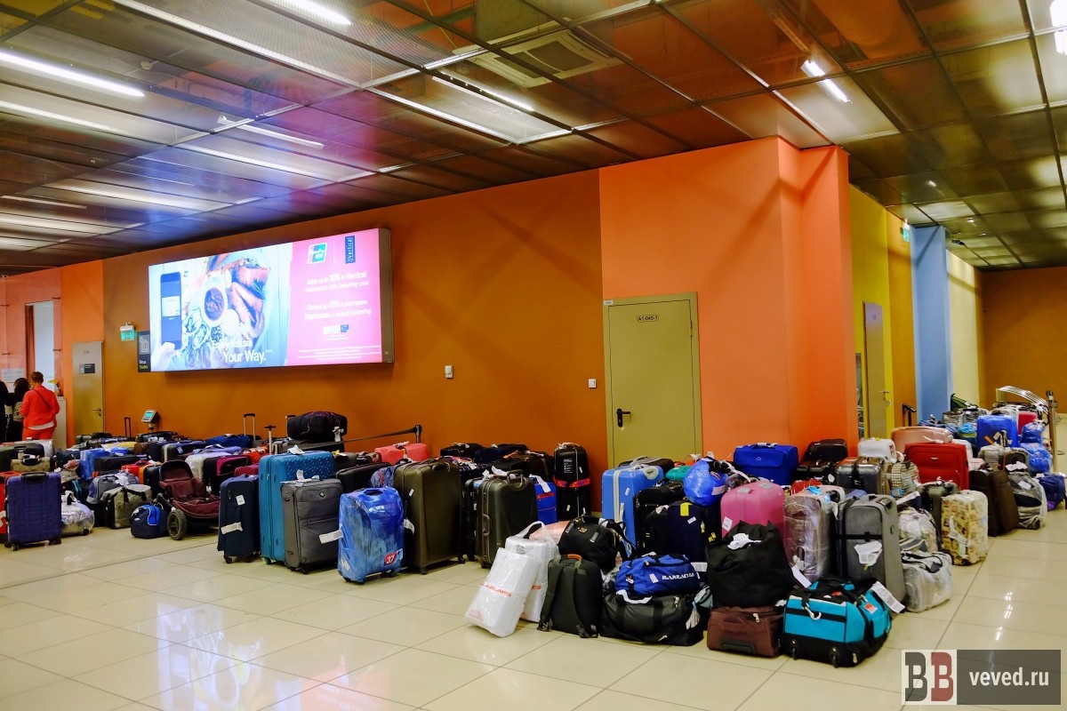     Фото: Владислав Постников / Вечерние Ведомости