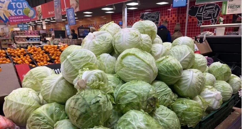    Фото из архива редакции