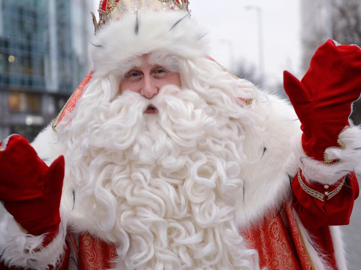    Всероссийский Дед Мороз | © РИА Новости / Денис Абрамов