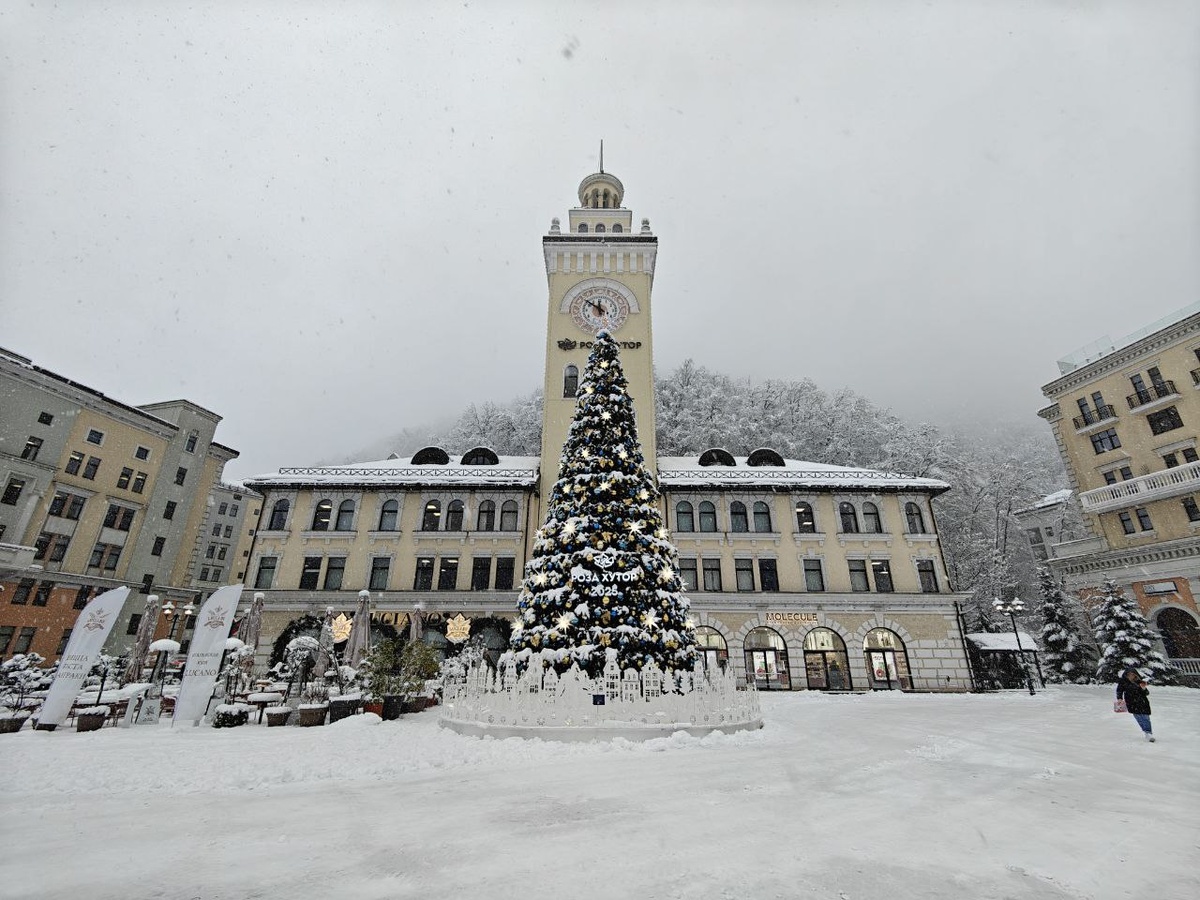    Фото: Юрий Серебренников/BFM Кубань