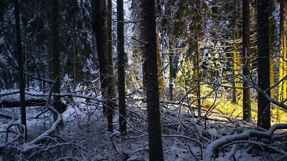    Фото: vk.ru/extremum