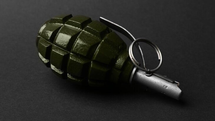    Фото: 123RF/liudmilachernetska Редакция