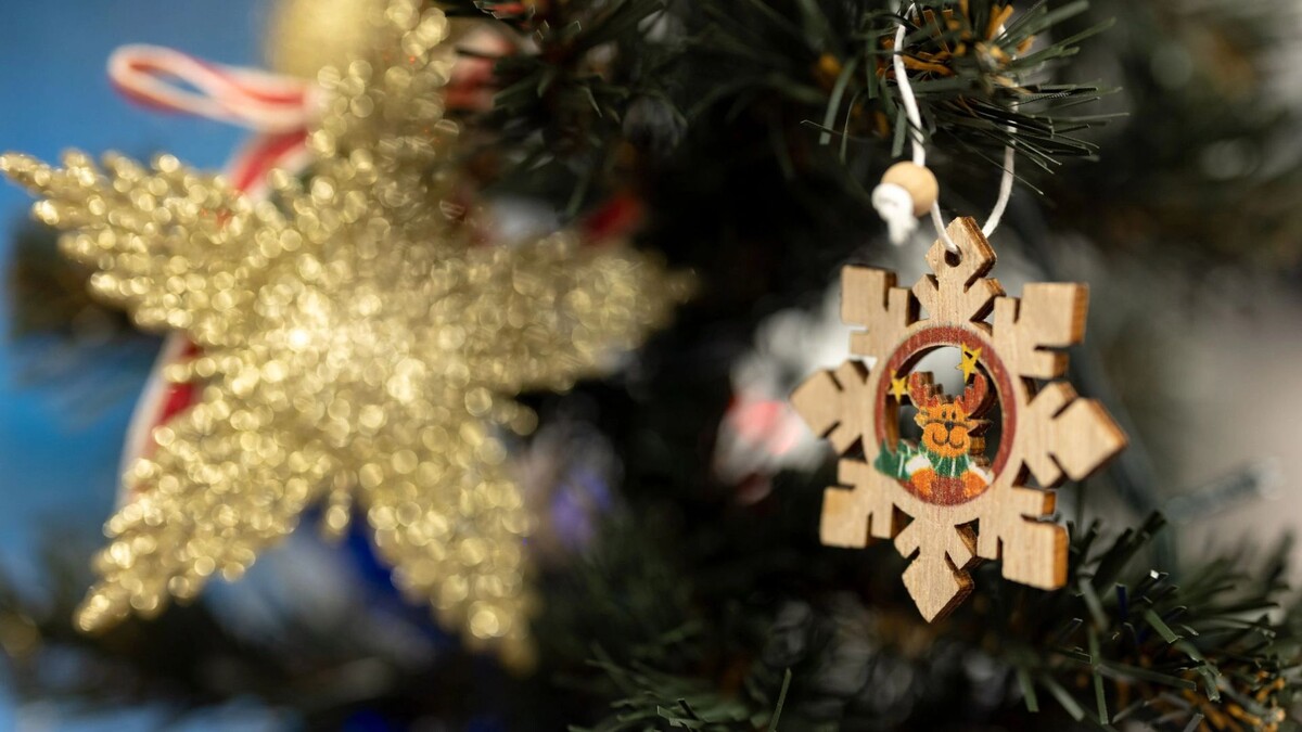    Фото: Сергей Зубков/«Ямал-Медиа»