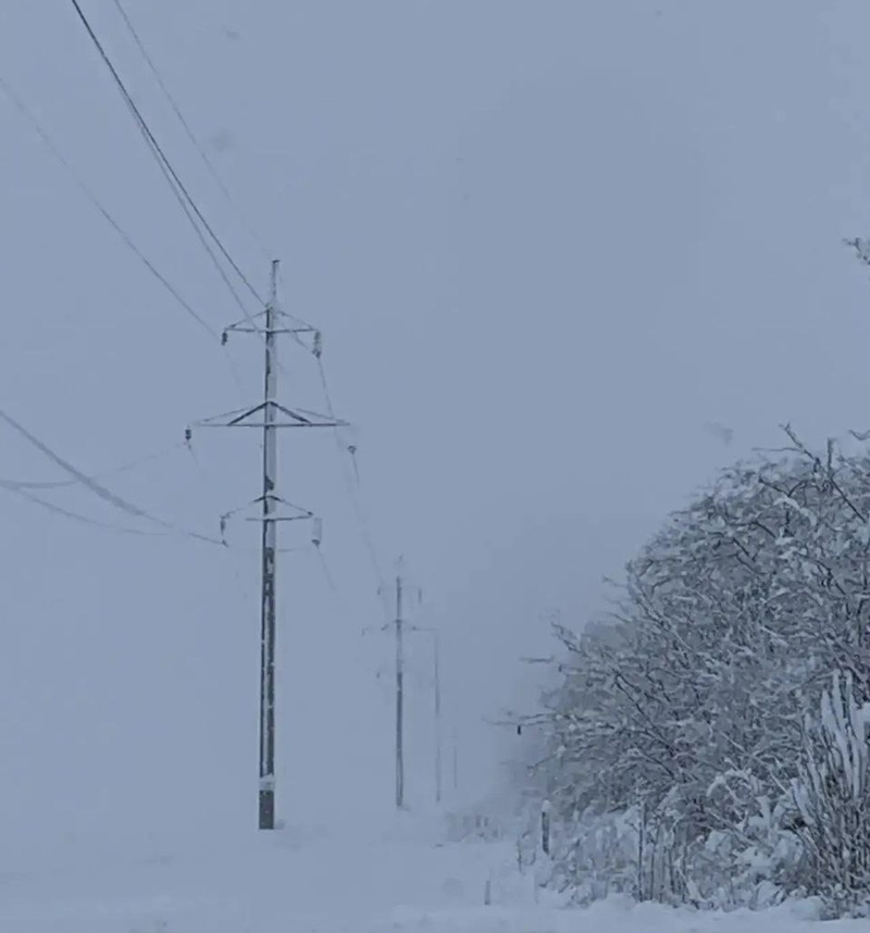      Фото: «Россети Северный Кавказ»