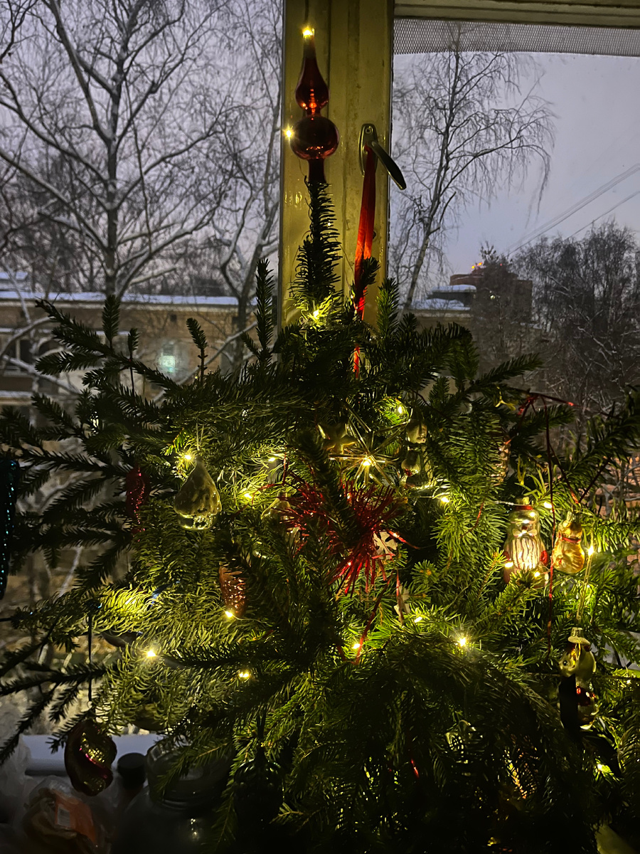 Моя экологичная елка