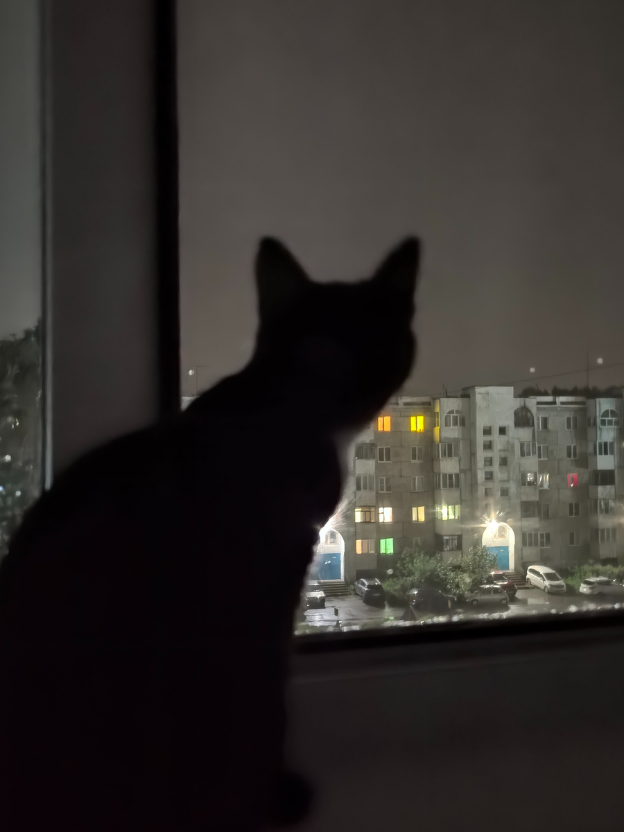 С надеждой смотрим в будущее