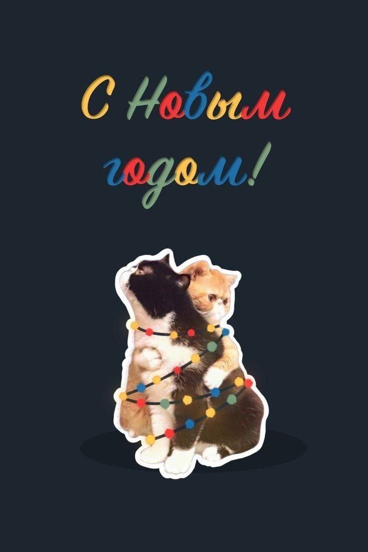 Скованные одной цепью 