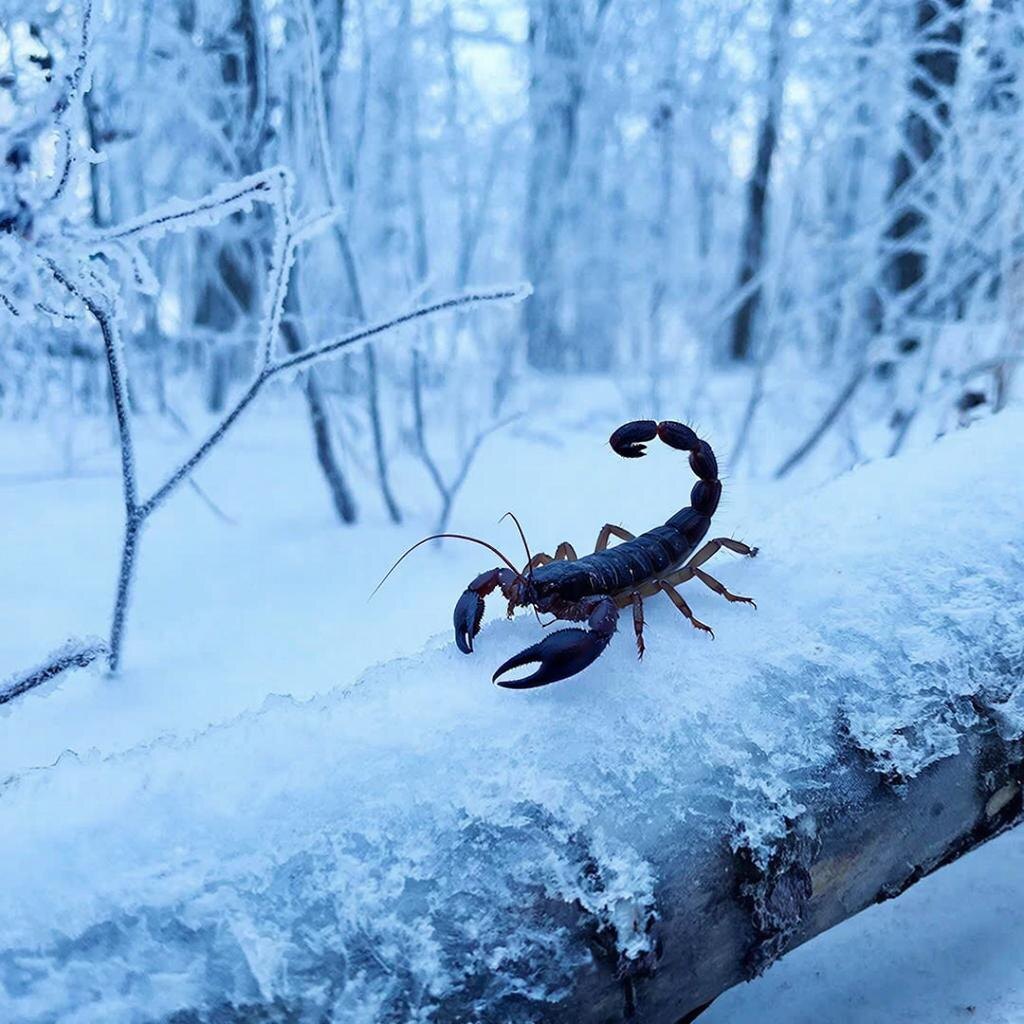 картинка ИИ