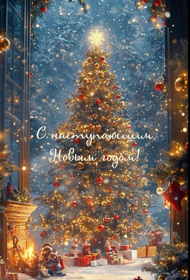 Фото взято из интернета. 