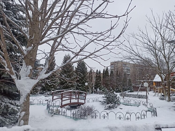     «МК-Кострома»