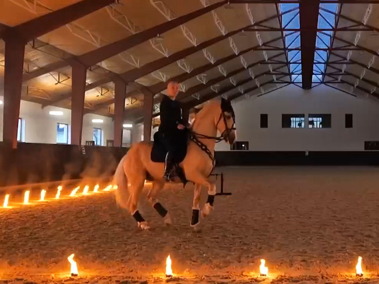     Фото: скрин\видео пресс-службы правительства Ленобласти.