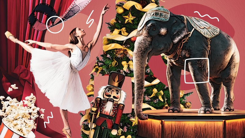      Фото: Антон Глушков / / ИА «Победа26»