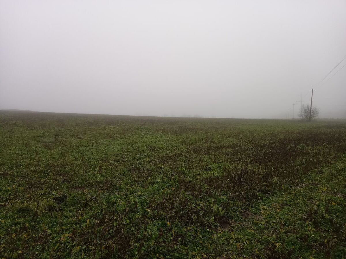 Начало декабря