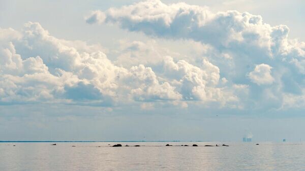    © Sputnik / Алексей Даничев