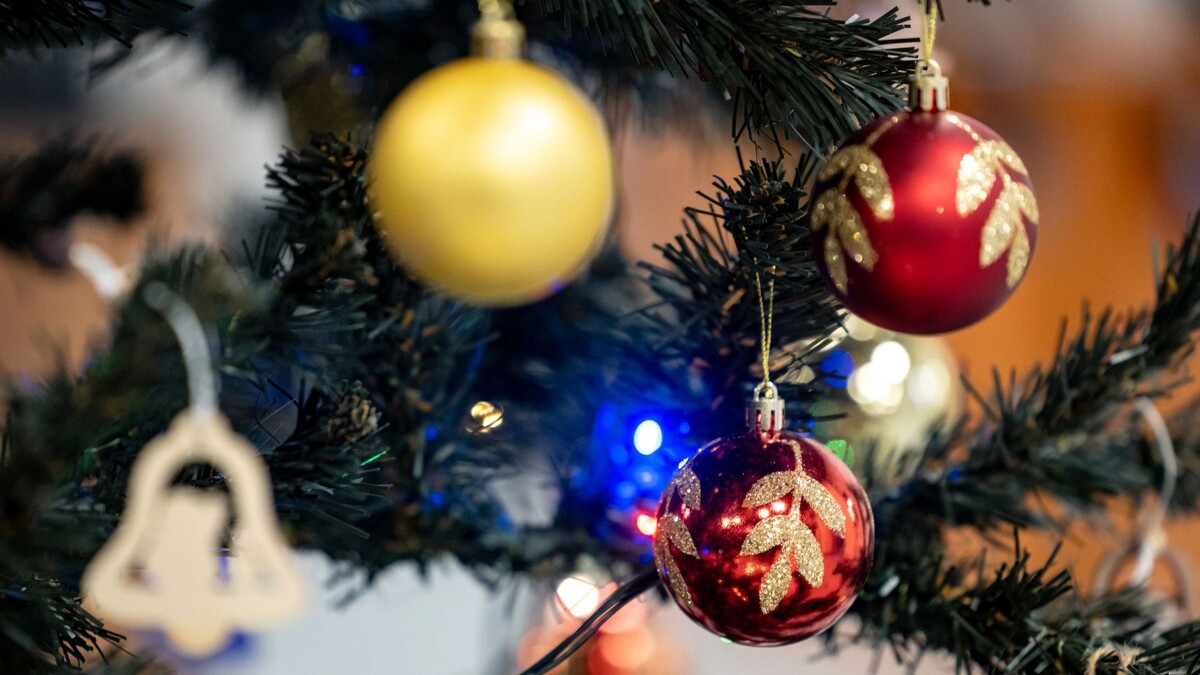    Фото: Сергей Зубков/«Ямал-Медиа»